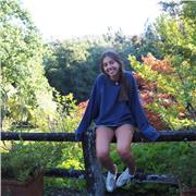 Clases de matemáticas para primaria, ESO y Bachiller en Alicante